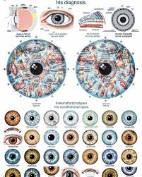 iridology eye chart diagnosis 1