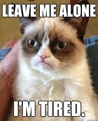 leave me alone i'm tired. - Grumpy Cat - quickmeme via Relatably.com
