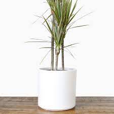Find the best garden baskets, pots & window boxes at the lowest price from top brands like handmade, smart pot & more. Large White Plant Pot Modern Planter Ceramic Indoor Outdoor Flower Pot Flower Pots Outdoor Indoor Plant Pots White Ceramic Planter