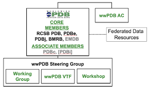 Protein data bank official website member organizations rcsb pdb, research collaboratory for structural bioinformatics protein databank pdbe, protein data bank in. Https Cdn Rcsb Org Wwpdb Docs About Advisory Wwpdbac2019 Report Pdf
