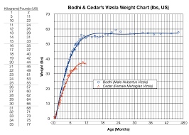 Weight Chart Bodhi Tales