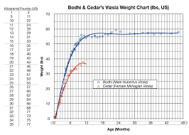 growth chart bodhi tales