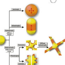 We did not find results for: Mechanical Integration Of Plant Cells And Plants Request Pdf