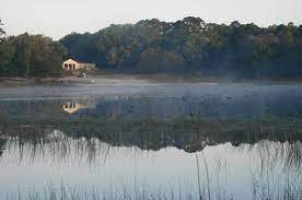 Mike roess gold head branch. Gold Head Branch State Park Lake Foggy Morn Picture Of Mike Roess Gold Head State Park Keystone Heights Tripadvisor