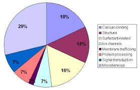 Pie Chart Showing The Functional Classifications The 44