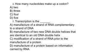 Imagine if there were 200 commonly occurring amino acids instead of 20. Solved How Many Nucleotides Make Up A Codon Two Three Chegg Com