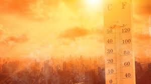 Once años seguidos: la ciencia confirma que vivimos en el periodo más caluroso de la historia