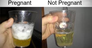 Pin On The Wonders Of Pregnancy