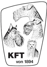The airedale terrier makes a good jogging partner because of their athletic physique. Airedale Kft De Die Website Der Airedale Terrier Im Klub Fur Terrier E V