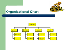 Professional Sports Team Organizational Chart Www