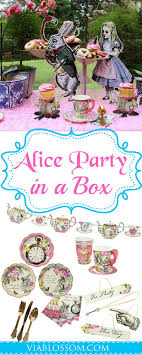 Birthday Party In A Box For Adults Alice Tea Party In A Box For 12 Alice In Wonderland Tea Party Birthday Alice In Wonderland Tea Party Onederland Birthday Party
