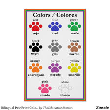 Bilingual Paw Print Color Chart Poster Zazzle Com In 2019