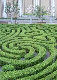 Mark Lane Designs Provide Quality Bespoke Design For Improved Outdoor Spaces Garden Landscape Design Eco Garden Garden Inspiration