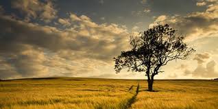 Dalam kepercayaan agama abrahamik, adam dan hawa adalah kedua sosok yang diyakini sebagai pasangan manusia pertama di bumi dan keseluruhan manusia modern ini diyakini merupakan keturunan dari mereka berdua. Kisah Nabi Adam Khalifah Pertama Yang Turun Ke Bumi Merdeka Com