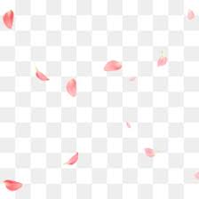 Maybe you would like to learn more about one of these? Falling Petals Png Falling Petals Cleanpng Kisspng