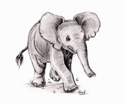 Extend a long, curved line from one side of the oval. Baby Elephant Face Drawing Novocom Top