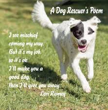 Ramey S Photography Home Rescue Dog Quotes Dog Poems Dog Rescuers