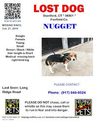 Hire the best lawn care services in stamford, ct on homeadvisor. Home Care Agencies In Stamford Ct Edukasi News