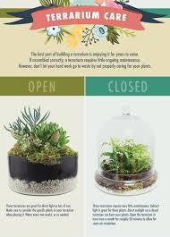 Terrarium Care Closed Terrarium Plants Open Terrariums Garden Terrarium