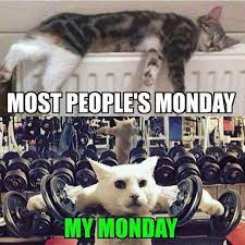 Fans all over the world have taken a lot of time and effort to create these famous. Pin On Gym Memes Fitness Motivation