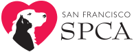 Urban pet hospital is your local veterinarian in san francisco serving all of your needs. Urgent Care Sf Spca