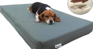 Amazon Com Extra Large Therapeutic Waterproof Memory Foam Dog Pet Bed 40 X35 X4 With Durable Canvas Cover Free Bo Extra Large Dog Bed Dog Bed Dog Furniture