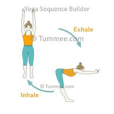 Upward Forward Fold Pose Flow Vinyasa Yoga Sequence Easy Yoga Workouts Yoga Flow