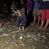 Imagen de la noticia para GRUNION de Gazette Newspapers