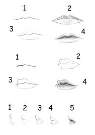 There is less shading on the male lips. How To Draw Male Lips Easy Novocom Top