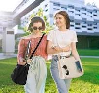 Amazon.com: JIECH Bolsa de lona con múltiples bolsillos, bolsa cruzada para  mujer, bolso de la Biblia, todo con compartimentos, 01 Beige, L : Ropa, ...