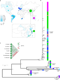 Pero, paris.cl quisiera prestar atención que código de descuento paris.cl no son aplicables a todos los productos, ni se puede aplicar después de haber muebles t terrazas hasta 70% de descuento. Population Genomics Provides Insights Into The Evolution And Adaptation To Humans Of The Waterborne Pathogen Mycobacterium Kansasii Nature Communications