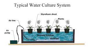 This decision will help determine what type of hydroponic. How To Get Started With A Hydroponic Herb Garden At Home Quora