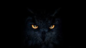 Here you can get the best black wallpapers 1920x1080 for your desktop and mobile devices. Download 1366x768 Wallpaper Owl Dark Glowing Eyes Muzzle Tablet Laptop 1366x768 Hd Image Background 1 Eyes Wallpaper Owl Wallpaper Owl Wallpaper Iphone