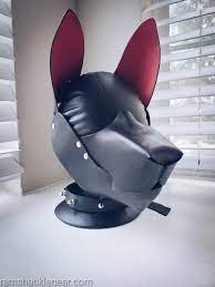 Pup Bandit 🐶🔞 (@BanditPupNSFW)  X