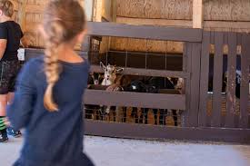 Long island catering halls long island diners long island restaurants li vineyards & wine tasting. Up Close Adventures For Animal Lovers Petting Zoos Near The Fox Valley