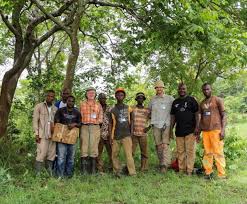 Image result for Landolphia letestui