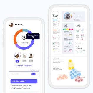 Figure 4: A modern interactive pet genetics results dashboard., AI generated