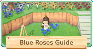 Read This Animal Crossing New Horizons Switch Acnh Guide On How To Get Blue Roses Including How To Breed Blue Ros In 2020 Animal Crossing Blue Roses Garden Animals