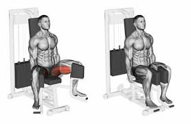 Nutze die besten übungen für dein training zu hause und spare dir den zeitaufwändigen gang ins fitnessstudio. á Oberschenkel Training Mann Fitness Studio Bilder Videos