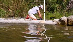 Earth Day 2020: Marine Resource Council plants 100 mangroves
