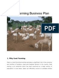 Commitment to the business plan once one has a business plan in place there is need: Goat Business Plan Pdf