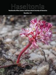 Image result for Coleus gracilipedicellatum