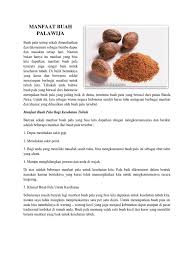Bumbu ini juga telah digunakan sebagai obat tradisional di indonesia. Manfaat Buah Palawija