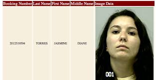 Dacula Docket Book for April 10