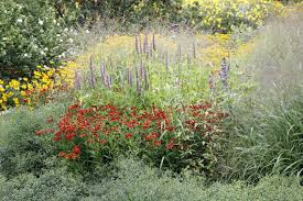Staudenmischungen Fertigsets Fur Bunte Blutenpracht Garten Stauden Bepflanzung
