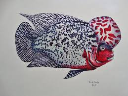 Flowerhorn Cichlid Original Painting Etsy In 2020 Watercolor Fish Fish Painting Fish Art