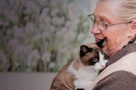 Pet euthanasia cost los angeles. Pacific At Home In Home Pet Euthanasia And Hospice Care