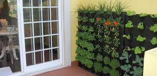 13 ideas for landscaping without grass no back yard home design pictures remodel and decor modern backyard designs 44 best garden google search projeto de jardim pequeno jardins pequenos paisagismo quintais easy a now mow bob vila alternatives to front the glove 15 mymove gvine lawn guys low maintenance archives care in centreville fairfax county … continue reading garden ideas without lawn Gardening Without A Yard Minigarden Us