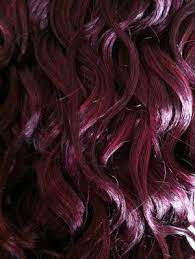 Pin By Danielle Altro On Hair Plum Hair Violet Hair Colors Plum Hair Highlights