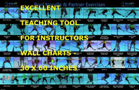 Advanced Noodle Partner Exercise Wall Chart